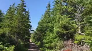 Taiga Forest of the Cape Breton Highlands Nova Scotia Canada Christmas Special 🌲🌲🌲 [upl. by Eden]