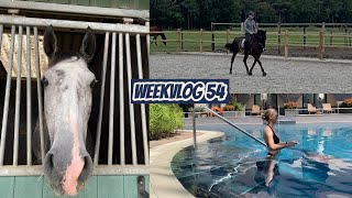 LENTE THUIS DRESSUURLES amp VAKANTIE  Weekvlog 54  Horses by Demi [upl. by Christa]