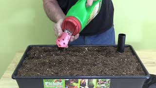 The Start Pickin SelfWatering Raised Bed Grow Box  A Product Demo [upl. by Castor]