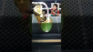 leaf engraving machine leaf painting engraving shorts [upl. by Ahscrop]