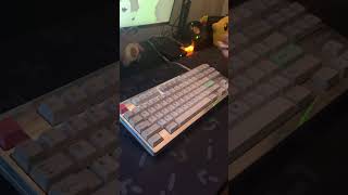 Gehirn Keyboard Sound Test shorts keyboard custom [upl. by Nommad]