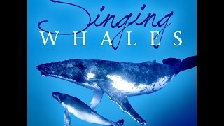 Singing Whales  More than 60 Min Ambient Sound with Whales [upl. by Jorry242]