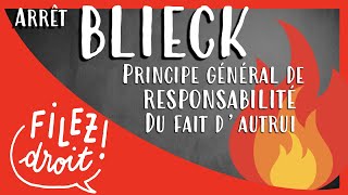 Arrêt Blieck Principe général de responsabilité du fait dautrui Cass Ass Plén 29 mars 1991 [upl. by Latsyrcal]