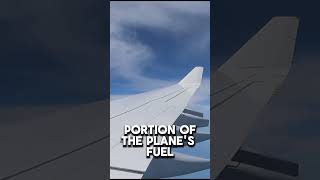 Understanding STALL Across an Aircraft WING and In An Aircraft ENGINE [upl. by Fabron]