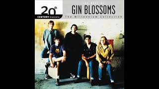 Gin Blossoms  Lost Horizon [upl. by Laurance]