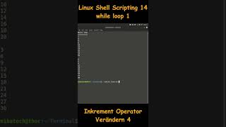 Linux Shell Scripting 14  while loop 1  Inkrement Operator verändern 4 [upl. by Uta509]