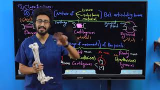 Joints  General Anatomy Lec 3 Part 1  Dr Amro Ashraf [upl. by Osric]