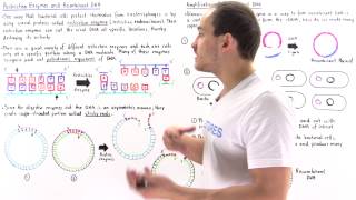 Restriction Enzymes and Recombinant DNA [upl. by Nalahs]