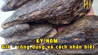 Kỳ Nam có GIÁ bao nhiêu CÔNG DỤNG và cách NHẬN BIẾT Kỳ Nam [upl. by Gena519]