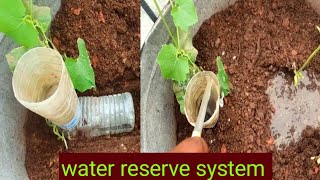 Plastic Bottle Deep Irrigation System Very Simple Easy [upl. by Knick]