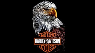 HARLEYDAVIDSON FREEDOM [upl. by Dolli]