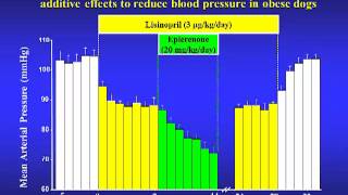 Pathophysiology of hypertension in obesitymetabolic syndrome  John Hall [upl. by Ellives]