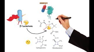 Pharmacology – ANTIBIOTICS – CELL WALL amp MEMBRANE INHIBITORS MADE EASY [upl. by Avilys788]