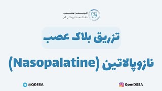 تزریق بلاک عصب نازوپالاتین Nasopalatine  دکتر اشکان بادکوبه [upl. by Harahs40]