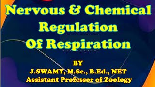 Regulation of Respiration  Neural chemical and Feedback Regulation [upl. by Aropizt]