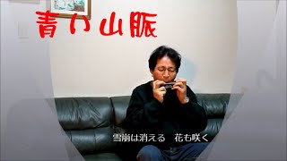 「青い山脈」Aoi Sanmyakuハーモニカと詩（ハーモニカ演奏） [upl. by Ramoj]