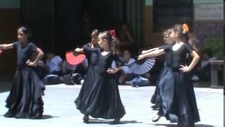 FLAMENCO PASO DOBLE [upl. by Iruj988]