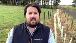 GFW Farm Focus  Countryside Stewardships Schemes [upl. by Ahsed]