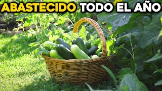 Todo lo que GANAS al cultivar Pepinos frescos en tu Huerto [upl. by Lorimer]