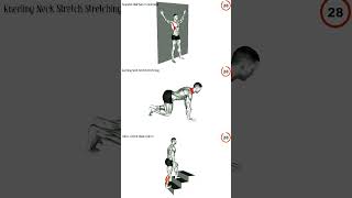 best stretching exercises after workout [upl. by Notsek999]