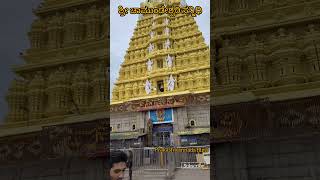 ಚಾಮುಂಡೇಶ್ವರಿ mysore chamundeshwari kannadafilmindustry kantara rishabshetty mother devotional [upl. by Ymmij]