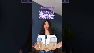 OSTEOTOMIA OSTECTOMIA VS ODONTOSECCIÓN osteotomia odontoseccion odontologia odontostudent [upl. by Aenyl706]