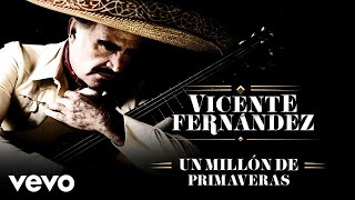 Vicente Fernández  Un Millón de Primaveras LetraLyrics [upl. by Jordana]