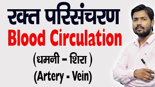 Blood Circulation  रुधिर परिसंचरण  Artery  धमनी  Veins  शिरा  in Hindi [upl. by Pavel]