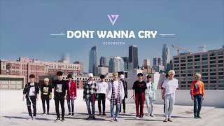 SEVENTEEN세븐틴  울고 싶지 않아 Dont Wanna Cry1 HOUR [upl. by Aivin]