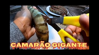 Camarão grande  tigre o mais delicioso que já comi [upl. by Asilat]