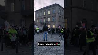 Würzburg Germany🇵🇸🇩🇪 levepalestina palestine gaza israel warzone germany uno humanity reels [upl. by Alger]