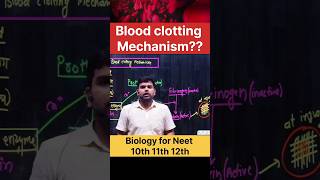 Blood clotting mechanism biology shorts neet viralvideo [upl. by Adihahs270]