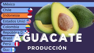 Los Mayores Productores de AGUACATE en el Mundo  Datos Vivos [upl. by Kizzee630]