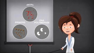 Basics of PCR [upl. by Anaujal]