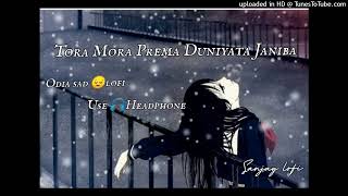 ToraMoraPremaâ¤ï¸DuniyataJaniba ðŸŒ¹Human Sagar Sad Lofi Song [upl. by Biddie]