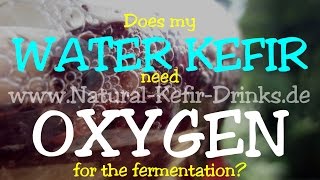 Does my water kefir crystals need oxygen [upl. by Soloma]