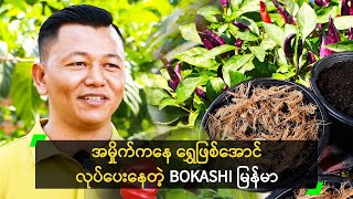 အမှိုက်ကနေ ရွှေဖြစ်အောင် လုပ်ပေးနေတဲ့ BOKASHI မြန်မာ [upl. by Othilia]