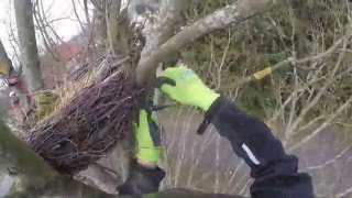 Vogelnest Einbau im Kremmener Stadtpark Vogelschutz [upl. by Sucramd]