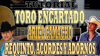 Toro Encartado  Ariel Camacho  Requinto Acordes y Adornos  TUTORIAL  CON TABS [upl. by Corby]