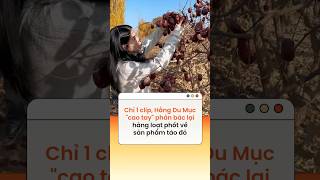 Chỉ 1 clip Hằng Du Mục quotcao tayquot phản bác lại hàng loạt phốt về sản phẩm táo đỏ [upl. by Ecnarwal]