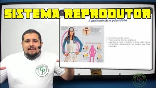 Sistema reprodutor 01  Puberdade masculina e feminina [upl. by Carn337]