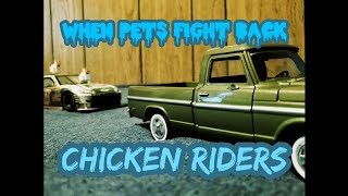 WHEN PETS FIGHT BACK EP4CHICKEN RIDERS [upl. by Irrac]