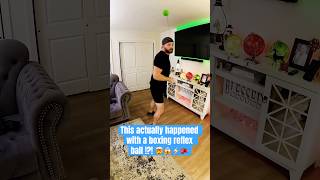 Incredible boxing reflex ball reaction time 🥊 [upl. by Aurie]