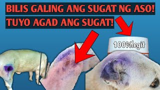 PINAKAMABISANG GAMOT SA SUGAT NG ASOPWEDE DIN SA IBANG ALAGANG HAYOPPART 2 [upl. by Hsital]