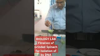 In Biology Lab Filtration of Grinded Spinach for Isolation of DNA [upl. by Okoyk]