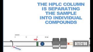 How HPLC Columns Work [upl. by Ode]