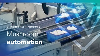 Viscon Fresh Produce  Mushroom Automation [upl. by Virgy]