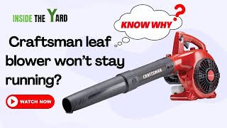 Craftsman Leaf Blower Won’t Stay Running  Heres How To Fix It [upl. by Tanney189]