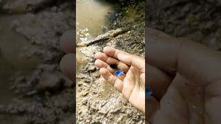 Simple Gem Mining  Gem Mining in Forest Channel shorts fyp satisfying gemstone gold mining [upl. by Kosaka]