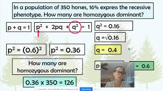 Example HardyWeinberg Problems [upl. by Bambie290]